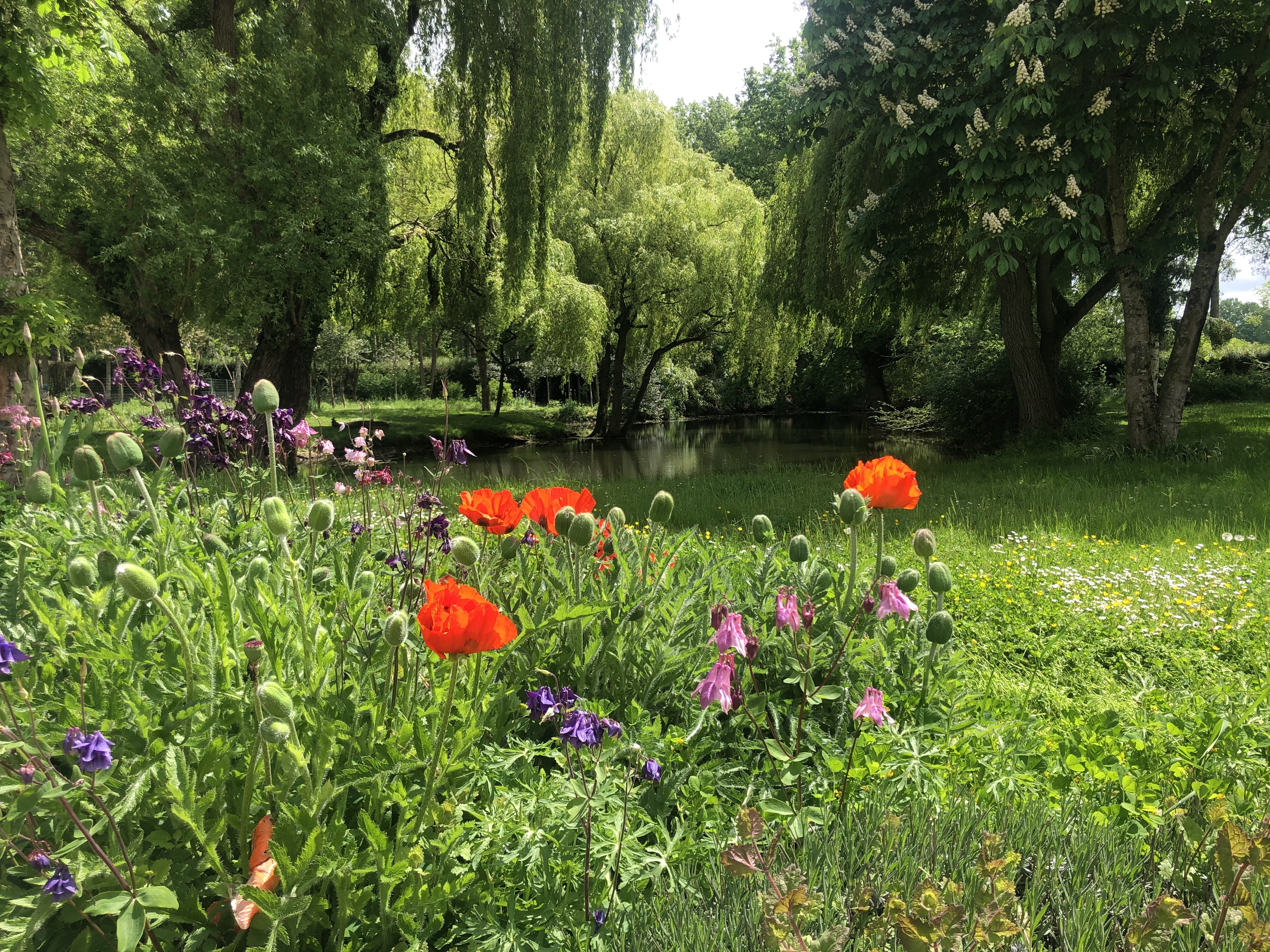 Photo of La Fauvelière